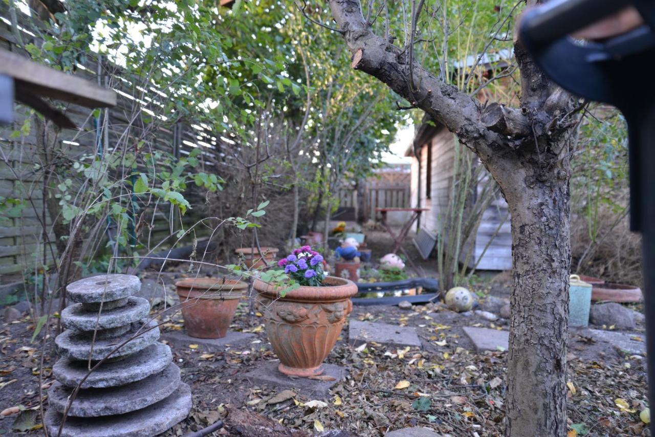 Gaestehaus Kevin Schult Berlin Extérieur photo
